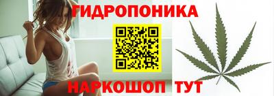 молекула духа Абинск
