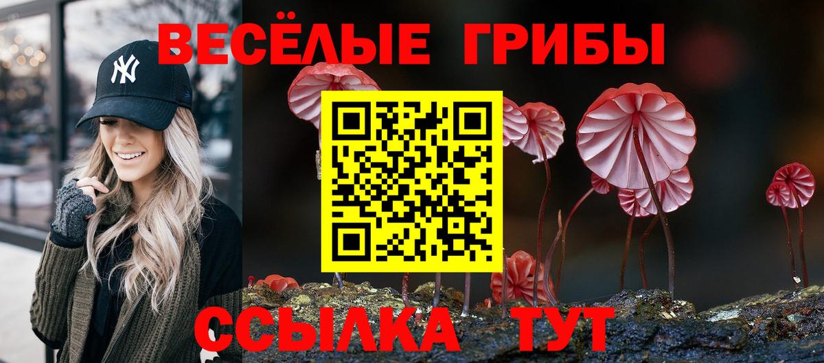 Галлюциногенные грибы Psilocybine cubensis Абинск